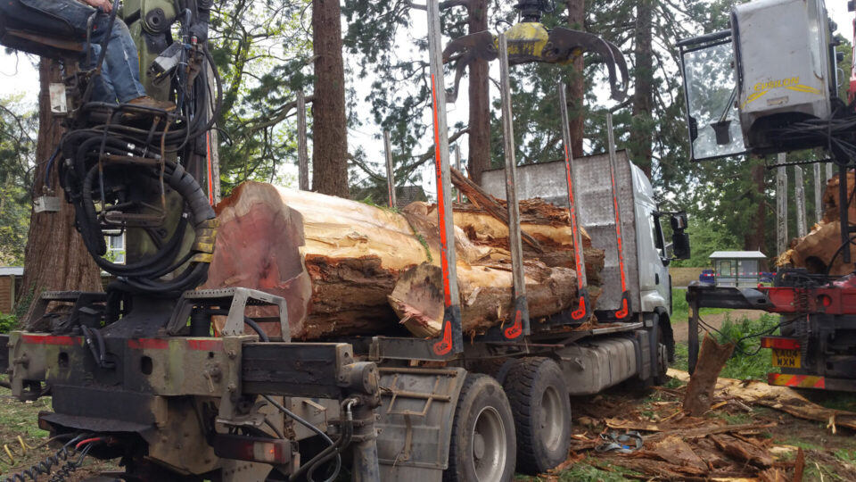 Forest and Garden Timber Services